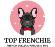 Top Frenchie | French Bulldog Guides & Tips