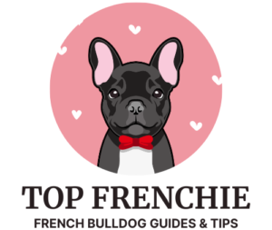 Top Frenchie | French Bulldog Guides & Tips