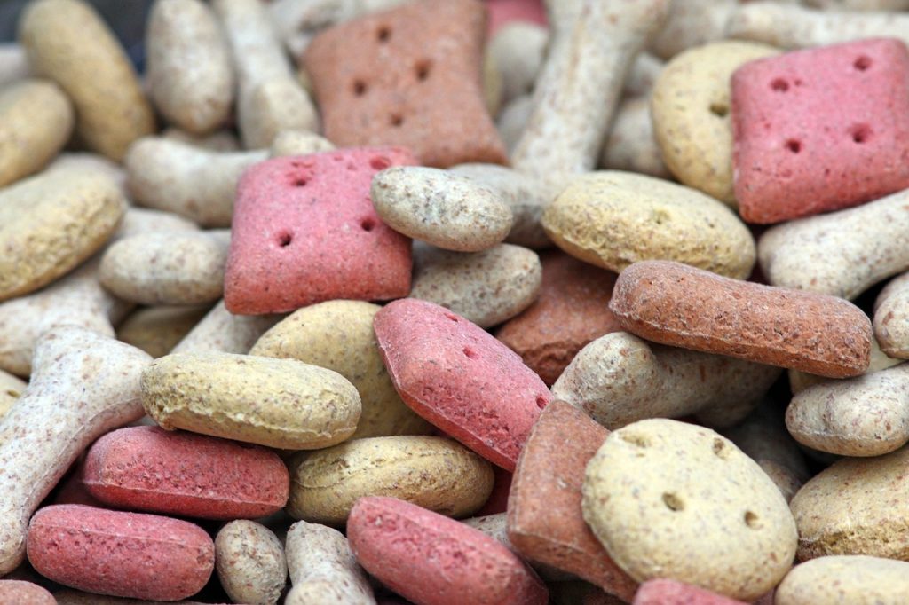 Potential Allergies and Sensitivities in French Bulldogs
