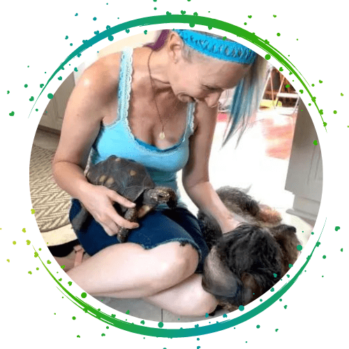 Top Frenchie - French Bulldog Owner Tips & Guides Shannon Cutts Top Frenchie