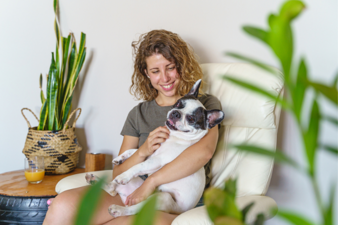 French Bulldogs are notoriously affectionate