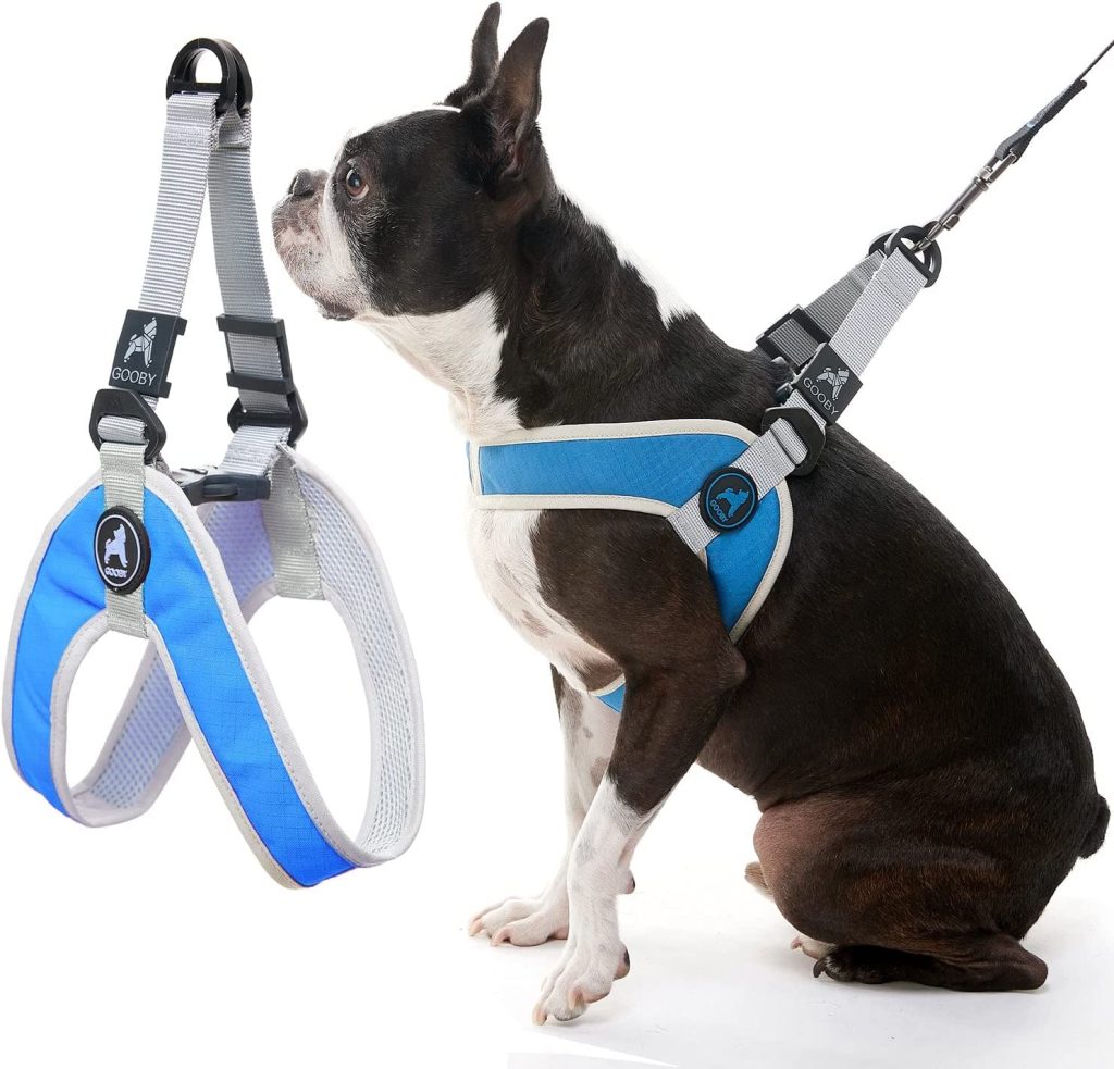 French Bulldog Harnesses: The Ultimate Guide (Perfect Fit) 71O8X3U EYL. AC SL1500