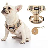 PUPTECK Soft Mesh Dog Harness and Leash Set