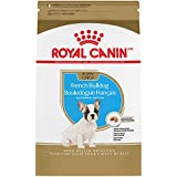 Royal Canin French Bulldog Puppy