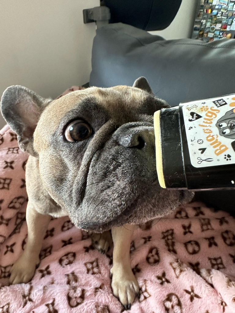 Bugalugs Nose & Paw Balm - A Frenchie Owner's Honest Review Bugalugs Nose & Paw Balm Review - Louis V Loves It - Top Frenchie