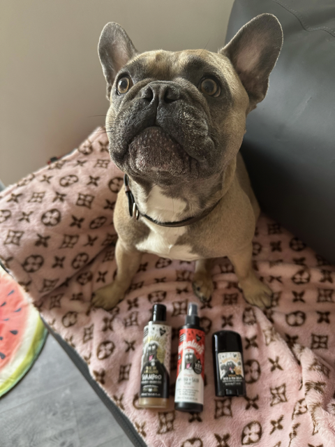 Bugalugs One in a Million Shampoo Worth It? (Honest Review) Bugalugs One in a Million Shampoo - Review - Top Frenchie