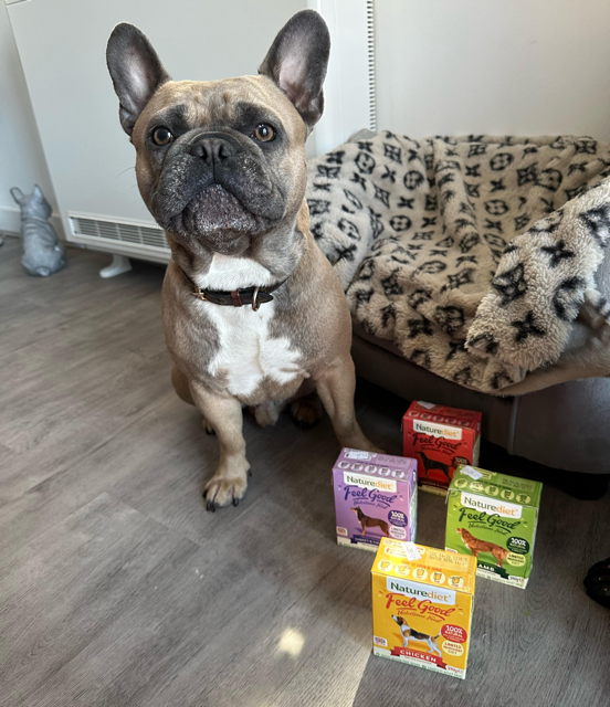 Naturediet Feel Good Dog Food Review