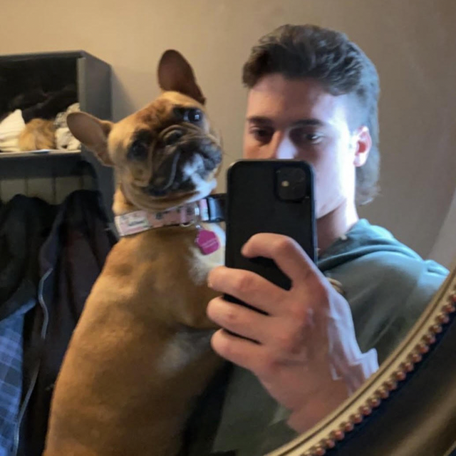 Top Frenchie - French Bulldog Owner Tips & Guides Kyle Spoletini - Author - Top Frenchie