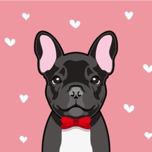 French Bulldog Harnesses: The Ultimate Guide (Perfect Fit) The French Bulldog Podcast By Top Frenchie