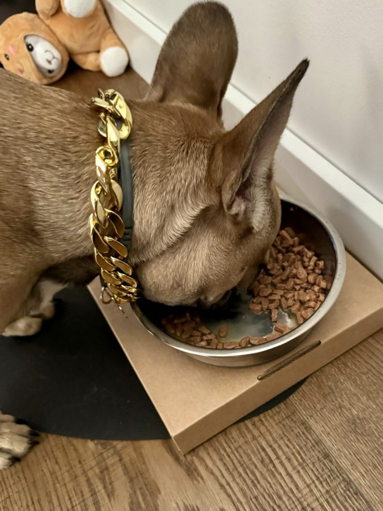 Royal Canin Mini Puppy Wet Food - Top Frenchie Product Review 1